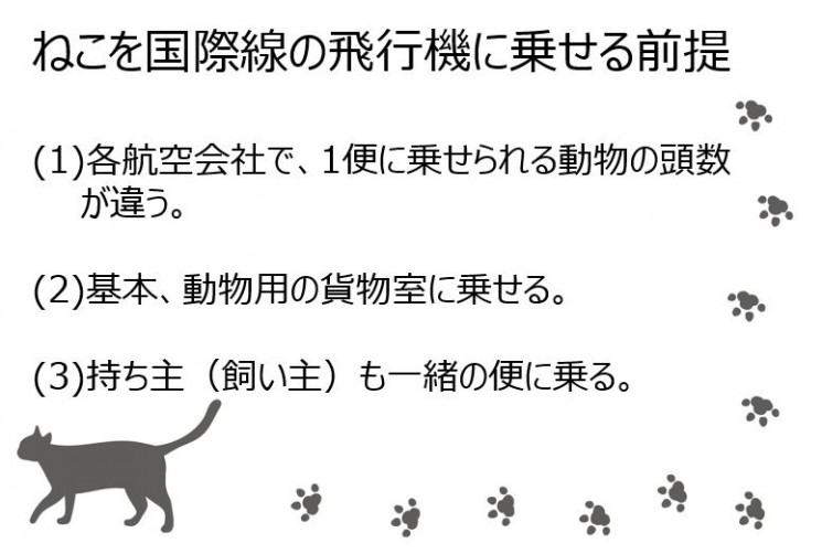 コラム ねこくらしの手帖 猫と暮らす 猫のためのお役立ちポータルサイト